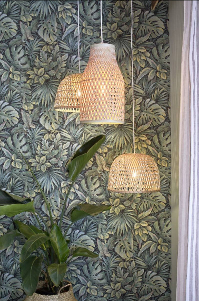 Papel Tapiz 33304BOTÁNICA