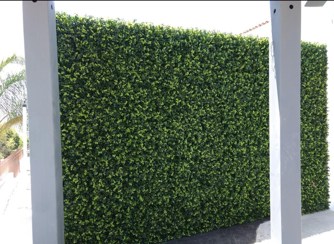 Muros verdes